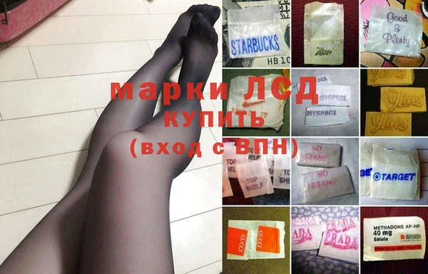 сатива Аркадак