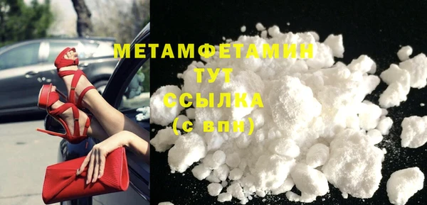 сатива Аркадак
