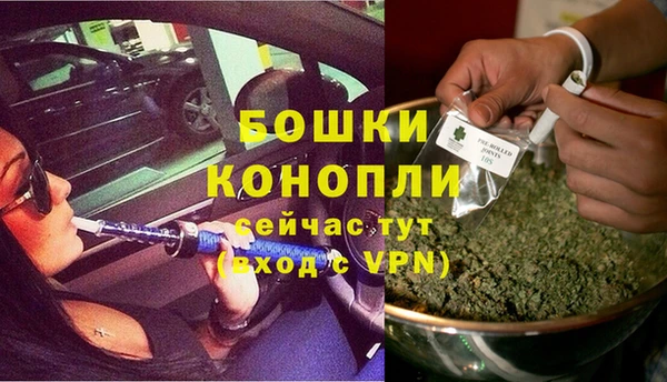 сатива Аркадак