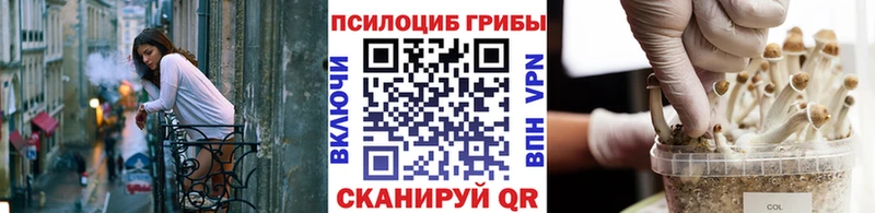 купить наркоту  Сорск  Псилоцибиновые грибы Magic Shrooms 